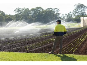 More water on the table to support Scenic Rim farmers 