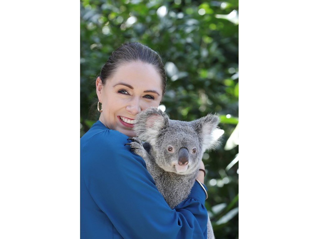 Help review Queensland's strong koala protections