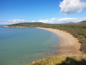 Wild Duck Island to protect vulnerable nesting turtles