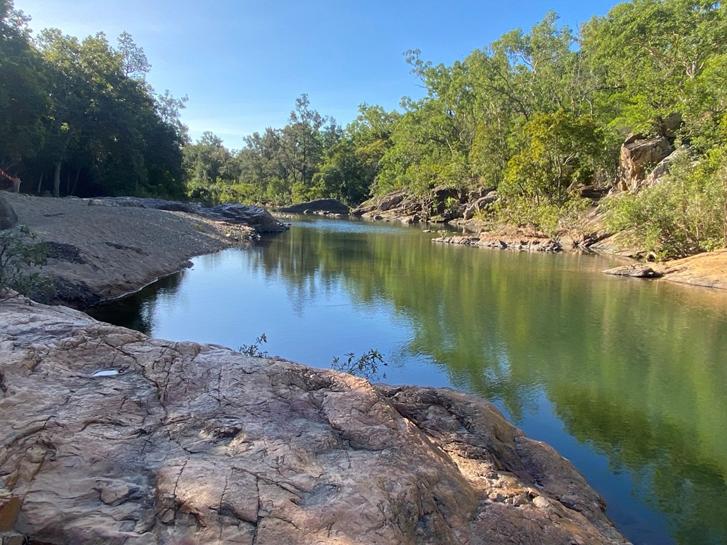 New camping area for Alligator Creek