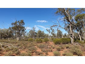 8,200ha near Charleville added to Queensland protected areas, great lifestyle