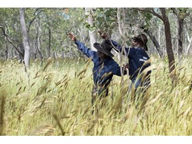 Olkola Rangers Jack and Fred. The Olkola Aboriginal Corporation currently owns and manages over 800,000 hectares of Olkola Traditional lands in Central Cape York. 