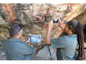 Buluwai Rangers undertaking photo monitoring at White Kangaroo gallery in Bare Hill Conservation Park. Credit: Buluwai Digital Library, Anna Rogers.