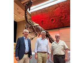 Queensland’s favourite fossil now official   