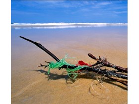 Global Recycling Day marked by launch of marine clean up 