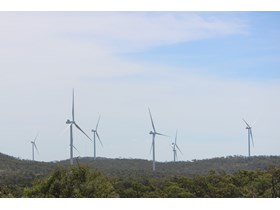 Jobs blow in from new FNQ wind farm 