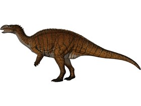 Unearthed in 1963, the Muttaburrasaurus is Queensland's tenth official fossil emblem.   